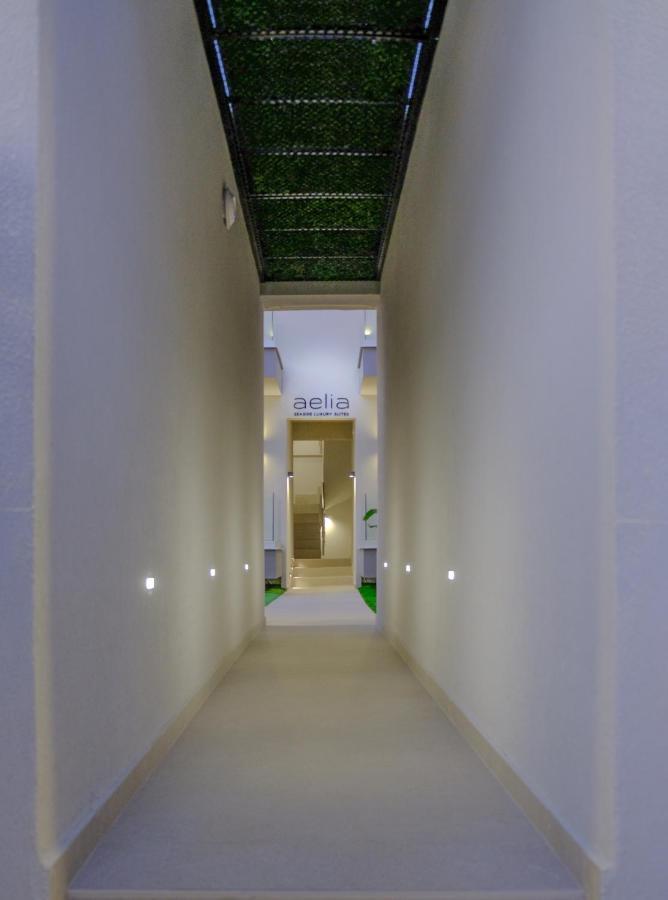 Aelia Seaside Luxury Suites Nea Karvali Bagian luar foto