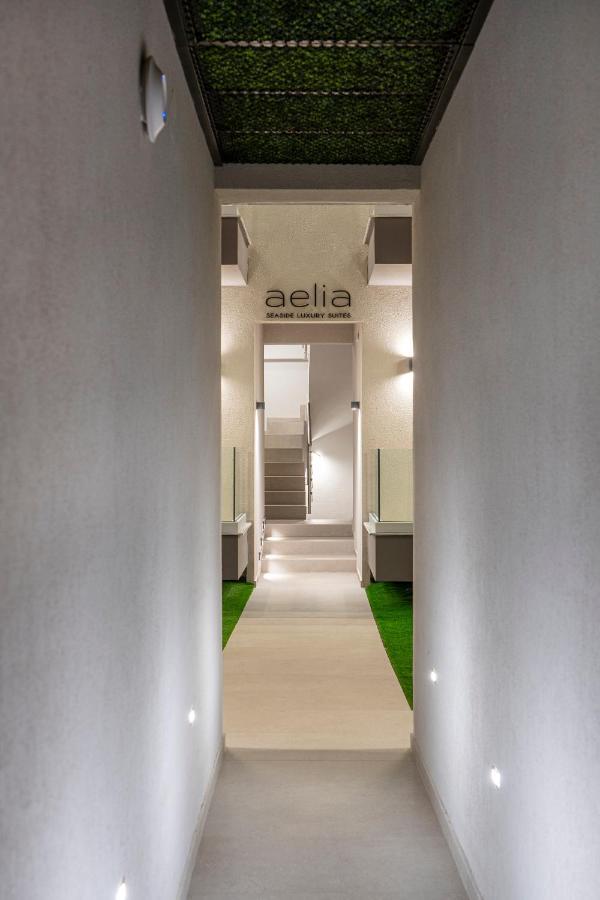 Aelia Seaside Luxury Suites Nea Karvali Bagian luar foto